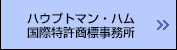 ハウプトマンハム国際特許商標事務所